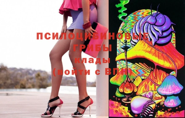 ПСИЛОЦИБИНОВЫЕ ГРИБЫ Алексин