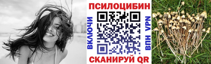 KRAKEN ССЫЛКА  цена наркотик  Ардон  Галлюциногенные грибы мицелий 