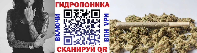 Бошки Шишки Ganja  Ардон 